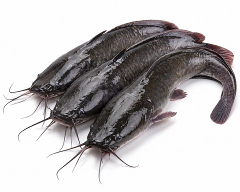 Fresh Catfish (Frozen)