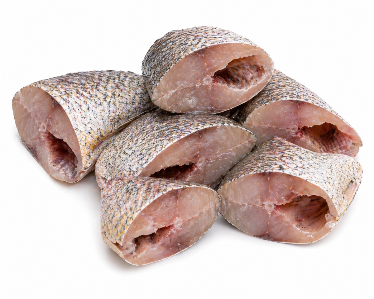 Croaker Fish Frozen